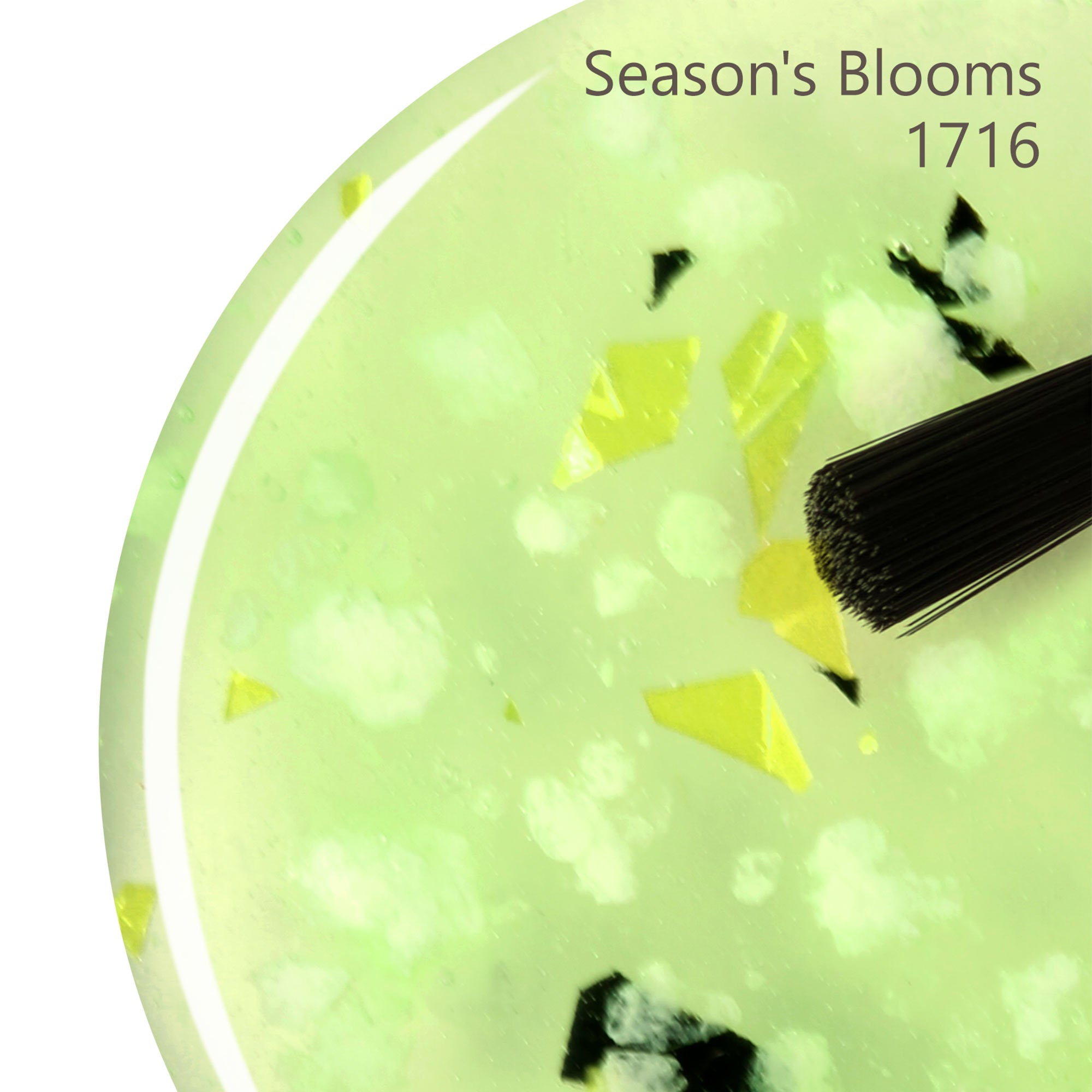 Season's Blooms
