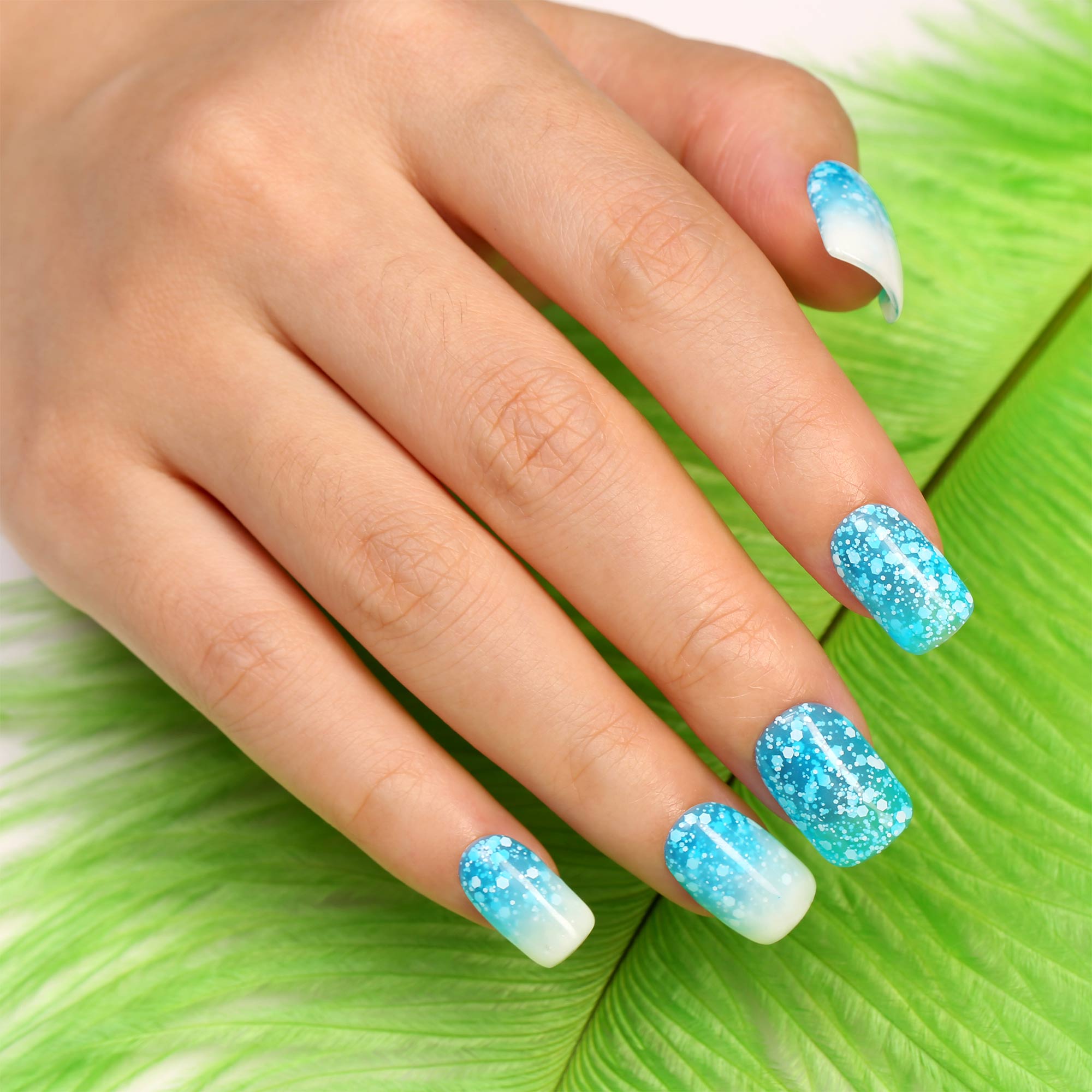 Sweety Collection