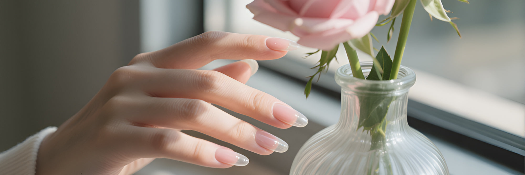 BASE TOP COAT SERIES
