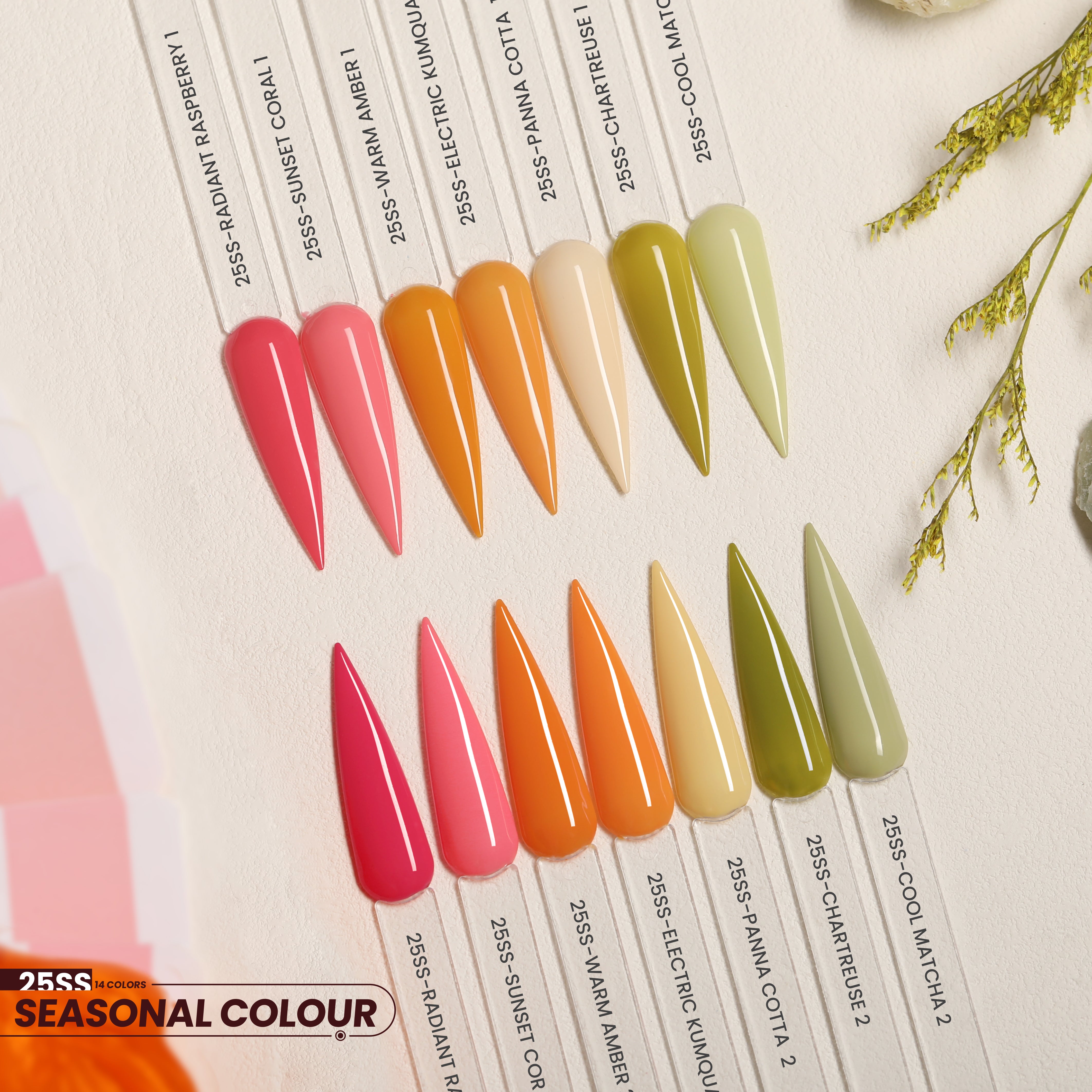 Color Trend 25SS